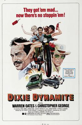Dixie Dynamite Metal Movie Poster 8in x 12in