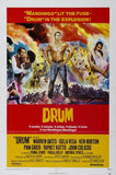 Drum Movie Poster 11x17 Mini Poster
