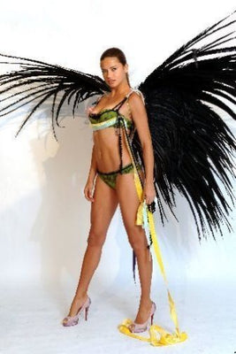 Adriana Lima Poster 24inch x 36inch The Poster Depot
