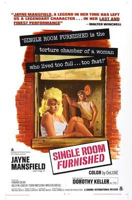 Single Room Furnished Poster On Sale United States