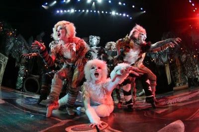 Cats Poster 24in x 36in Theatrical Performance Scene The Poster Depot