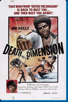 Death Dimension poster 27"x40" The Poster Depot