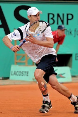 Andy Roddick Poster 16in x 24in