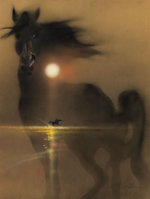 Black Stallion poster for sale cheap United States USA