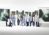 Greys Anatomy Metal Poster Print 8in x 12in 12"x16" The Poster Depot