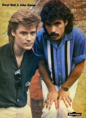 Hall And Oates Metal Print 8in x 12in