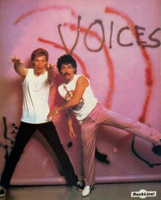 Hall And Oates Metal Print 8in x 12in
