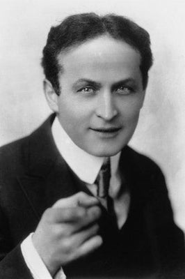 Houdini Metal Print 8in x 12in