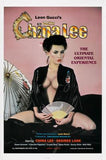 Inside China Lee Movie Poster 11x17 Mini Poster