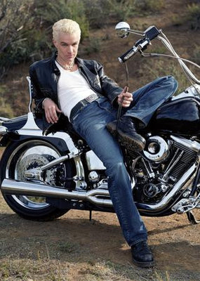 James Marsters Poster Sexy Chopper 11x17 The Poster Depot