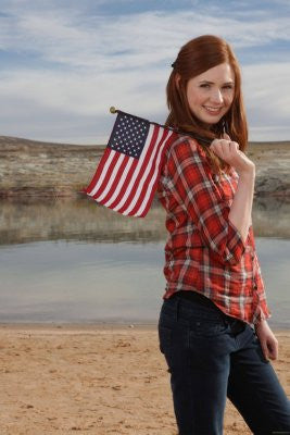 Karen Gillan poster 11x17 The Poster Depot