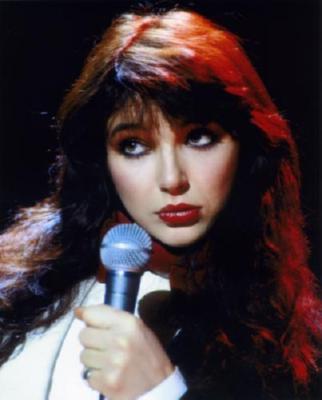 Kate Bush Metal Poster Wall Art 8in x 12in 12"x16" The Poster Depot