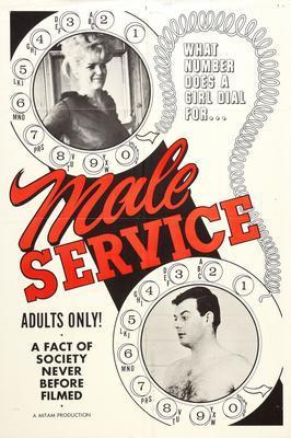 Male Service Movie Poster Metal Poster Choose Style The Poster Depot