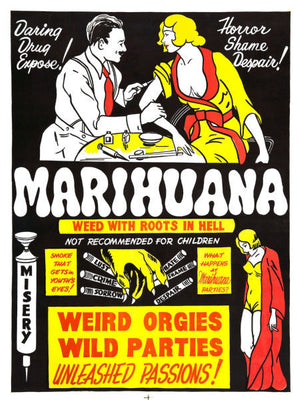 Marihuana Marijuana Psa Movie Poster 27inx40in Poster The Poster Depot