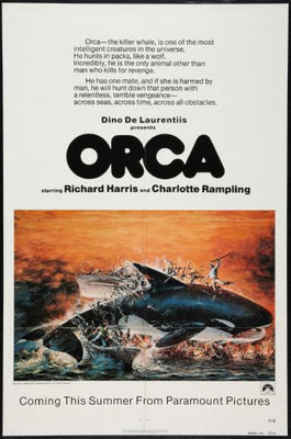 Orca Mini Poster 11inx17in Mini Poster