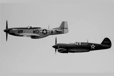 P24 P51 Poster Mustang Military Airplanes 16x24 The Poster Depot