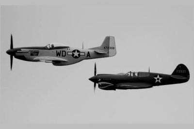 P40 P51 Metal Print 8in x 12in