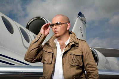 Pitbull poster| theposterdepoz.shop