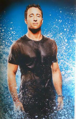 Hawaii Five-0 Alex O'Loughlin Metal Poster Choose Style The Poster Depot