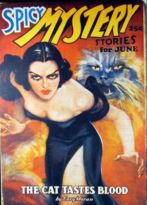 Pulp Novel Art Spicy Mystery Cat Tastes Blood poster tin Metal Print Wall Art