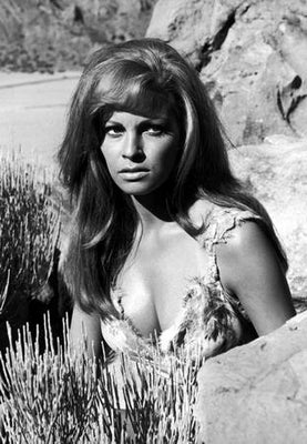 Raquel Welch Metal Poster Choose Style The Poster Depot