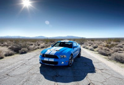 Shelby GT500 poster 11x17 The Poster Depot