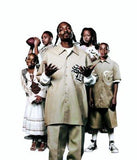Snoop Dogg poster tin Metal Print Wall Art