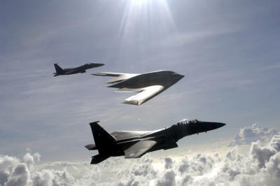 Aviation and Transportation Stealth Bomber Poster 16"x24" On Sale The Poster Depot