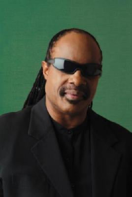 Stevie Wonder Metal Poster Print 8in x 12in 12"x16" The Poster Depot
