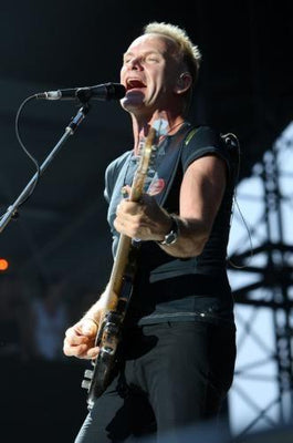 Sting Metal Print 8in x 12in The Poster Depot
