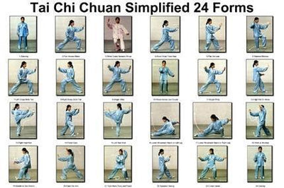 Tai Chi Chuan 16 Forms Poster 16x24 | The Poster Depot The Poster Depot