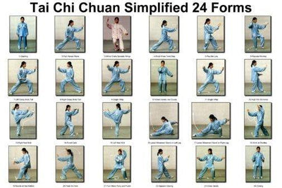 Tai Chi Chuan 24 Forms Poster Metal Print 12"x16"