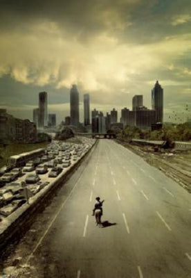 Walking Dead poster for sale cheap United States USA