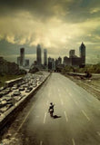 Walking Dead poster tin Metal Print Wall Art