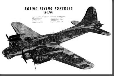 B17G Cutaway Poster Black and White Mini Poster 11"x17"