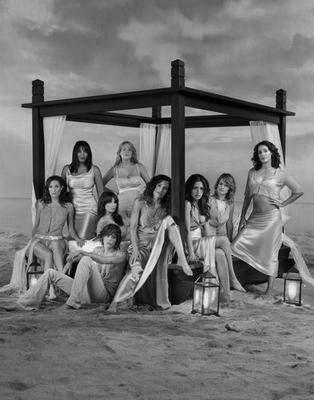 L Word Poster Black and White Poster 16x24 The Poster Depot