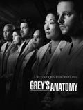 Greys Anatomy poster tin Metal Print Wall Art