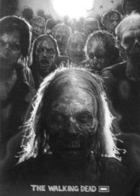 Walking Dead poster tin Metal Print Wall Art