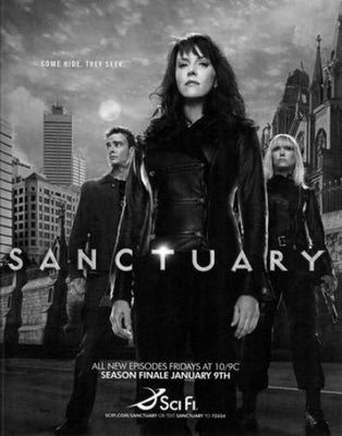 Sanctuary Poster Black and White Poster 24x36 The Poster Depot