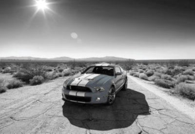 Shelby GT-500 Poster Black and White Poster 24x36 The Poster Depot