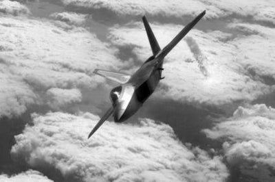 Stealth Fighter Poster Black and White Poster 16x24 The Poster Depot