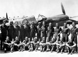Tuskegee Airmen poster tin Metal Print Wall Art