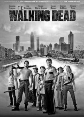 Walking Dead Poster Black and White Poster 16x24 The Poster Depot