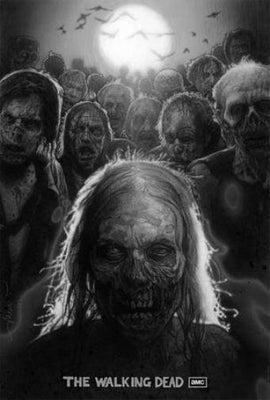 Walking Dead Metal Poster Wall Art 8in x 12in 12"x16" Black and White The Poster Depot
