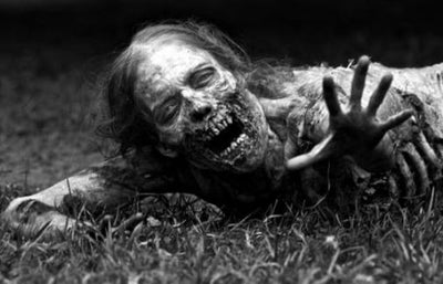 Walking Dead Poster Black and White Mini Poster 11"x17"
