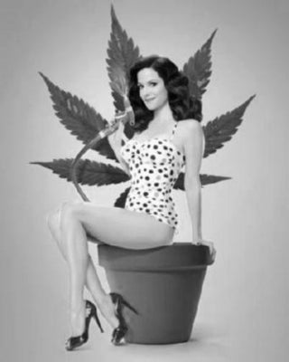 Weeds Poster Black and White Mini Poster 11"x17"