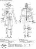 Acupuncture poster tin Metal Print Wall Art