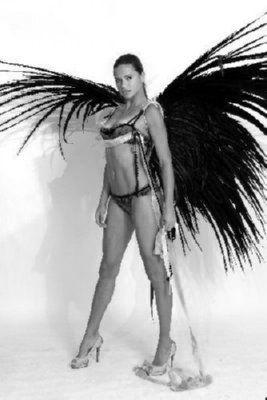 Adriana Lima Metal Poster Print 8in x 12in 12"x16" Black and White The Poster Depot