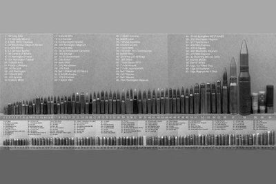 Bullet Caliber Comparison Chart poster tin Metal Print Wall Art