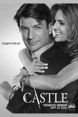 Castle Metal Poster Print 8in x 12in 12"x16" Black and White The Poster Depot